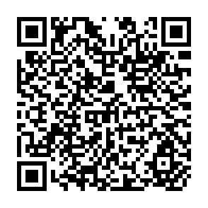 QR Code for The New World of Food
