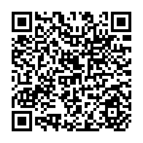 QR Code for Rural Credit Follow-Up Survey 1956-7