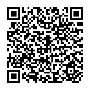 QR Code for Child Labour in South Asia