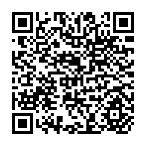 QR Code for Agriculture In The World Economy