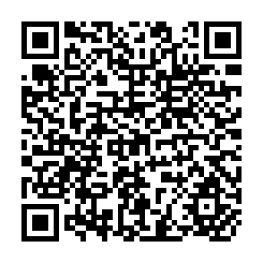 QR Code for Study Development Staff at the District and Lower Levels