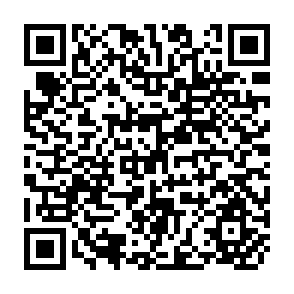 QR Code for Study Development Staff at the District and Lower Levels