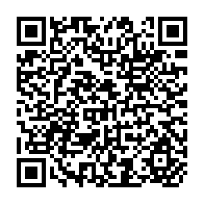 QR Code for Sustainable Development at Risk Ignoring the Past