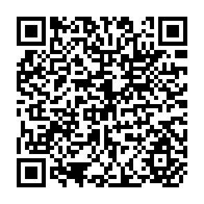QR Code for Coastal Protection in the aftermath of the Indian Ocean Tsunami: What role for forests  and trees ?