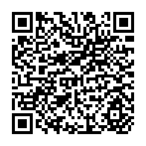 QR Code for Perspectives on rural Poverty and Development Strategies in Latin America