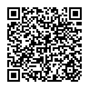 QR Code for Poverty -Lines Versus the Poor : Method Versus Meaning