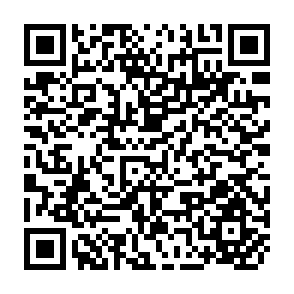 QR Code for Complex Emergencies, Food Security and the Quest for Appropriate Institutional Capacity