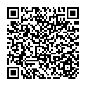 QR Code for Annual Report of the Monetary Board to the Minister of Finance