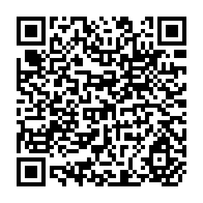 QR Code for The Role of Coastal forests in the mitigation of tsunami impacts