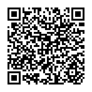 QR Code for Survey of Damage to Maize Stored Under Village Conditions