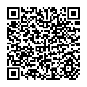 QR Code for Statistical Bulletin of SAARC Agricultural Data 2004