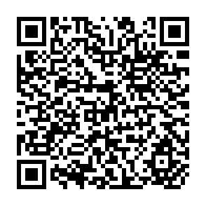 QR Code for Digital Review of Asia Pacific 2007-2008