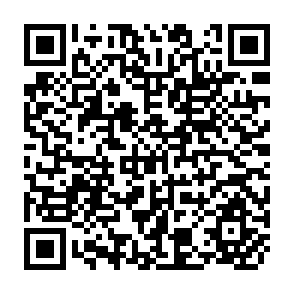 QR Code for Shaum's outline of Theory and problems of Introduction to Probability and Statistics