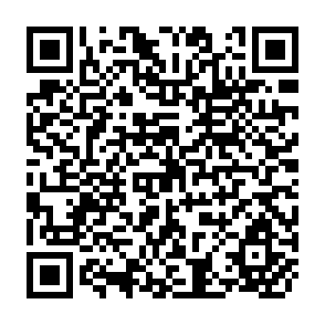 QR Code for Cadastral surveys and Records of Rights in Land