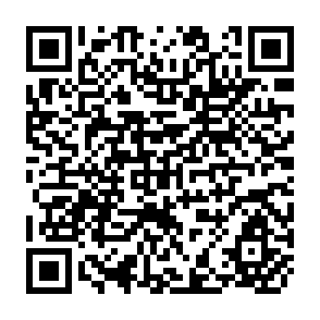 QR Code for The International Political Economy of the Environment