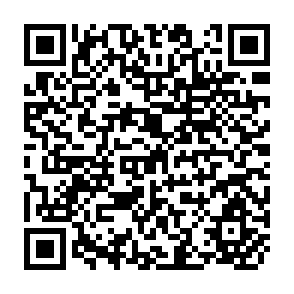 QR Code for Dependence and Transformation