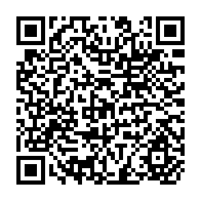 QR Code for Agrarian reform in Brazil