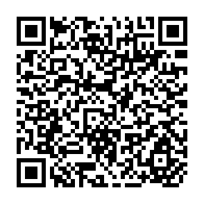 QR Code for Handbook on Livestock and Poultry Diseases in SAARC Countries
