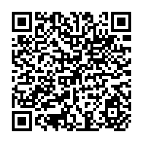 QR Code for Crop Varieties in SAARC Countries