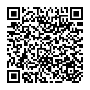 QR Code for Foodgrain Situation in SAARC Countries