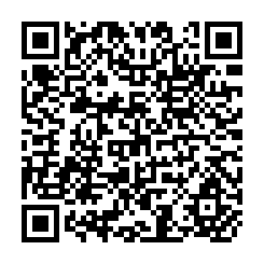 QR Code for A Food Plan for India