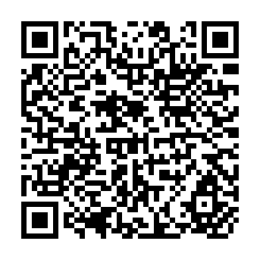 QR Code for The Marketable Surplus Of Rice In Indonesia: A Study In Java-Madura