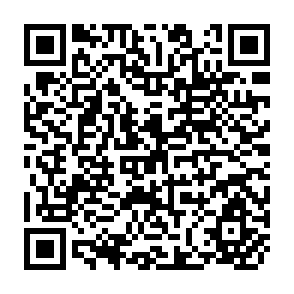 QR Code for Economics of Tractor Versus Bullock Cultivation(A Piolot Study in Haryana