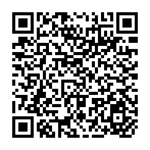QR Code for The Profitability of Poultry Farming in Its Various Divisions in Israel 1966/67