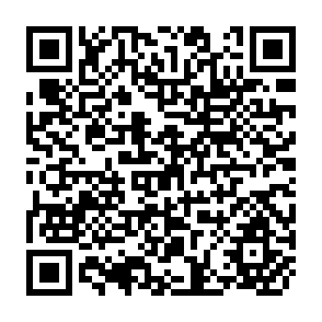 QR Code for A Report on an Economic Survey of Farming in the Trans Nzoia Area 1962/63