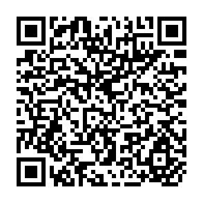 QR Code for Report of the Workshop on Participatory Approaches to Project Cycle Management