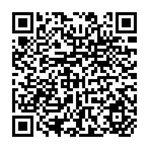 QR Code for Statistical Bulletin Of SAARC Agricultural Data-2005