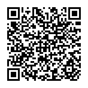 QR Code for What policies would help conserve global resources?