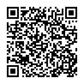 QR Code for Development of a Wet-Coconut Process Designed to Extract Protein and Oil from Fresh Coconut