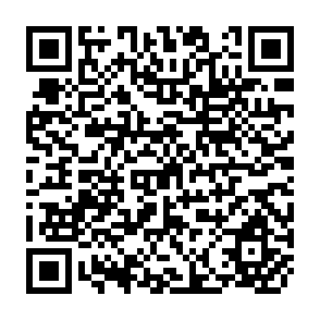 QR Code for The Combined use of Chemical and Organic Fertilizers and/or Biofertilizer for crop growth and soil fertility