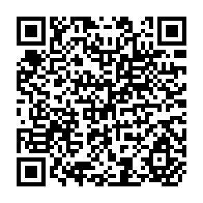 QR Code for Current Status of Bio-Fertilizers Development,Farmers' Acceptance and Utilization, and Future Perspective in Taiwan