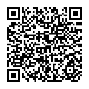 QR Code for The Economics of Irrigation Farming in the Lower Orange River Area 1970