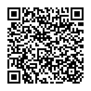 QR Code for Beef Cattle Breeding and Ranching Development Conference