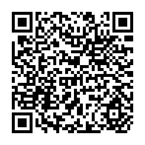 QR Code for Wastewater Use in Agriculture- Review of Impacts and Methodological Issues in Valuing Impacts