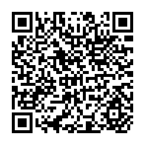 QR Code for Irrigation Impact on Income Inequality and Poverty Alleviation:Policy Issues and Options for Improved Management of Irrigation Systems