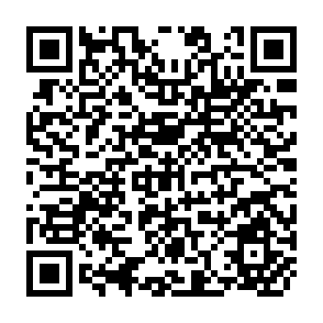 QR Code for The Profitability of Family Farms in Israel 1969-70