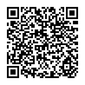 QR Code for Carbon, Land and Water: A Global Analysis of the Hydrologic Dimensions of Climate Change Mitigation through Afforestation/Reforestation