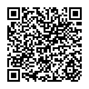 QR Code for The Investment Climate in South Asia