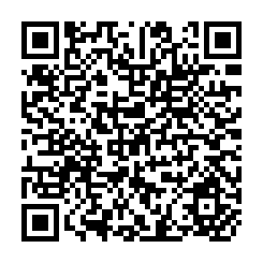 QR Code for Remittances during Crises