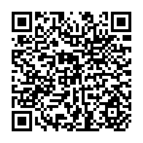 QR Code for Bulletin De L'Institut International De Statistique
