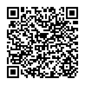 QR Code for The Statistical Analysis of Series of Events