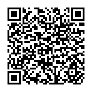 QR Code for Model in Regression and Related Topics
