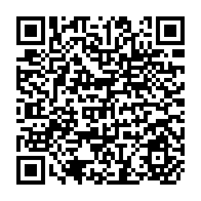 QR Code for A Socio-Economic Survey of Agriculture in the Lilongwe Land Development Program Area