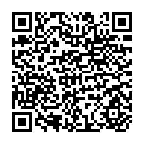 QR Code for A Socio-Economic Survey of Agriculture in the Lilongwe Land Development Program Area