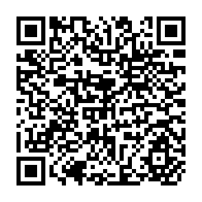 QR Code for A Socio-Economic Survey of Agriculture in the Lilongwe Land Development Program Area