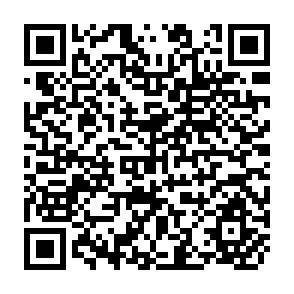 QR Code for A Socio-Economic Survey of Agriculture in the Lilongwe Land Development Program Area 1971-72